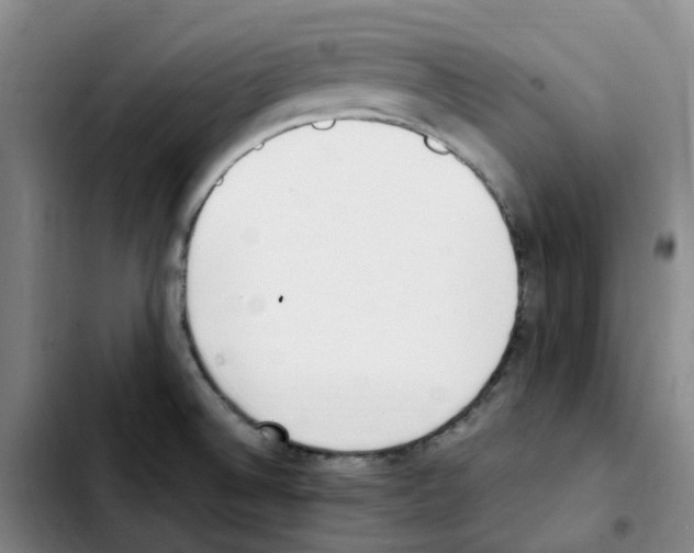 X0000103451524200810241133