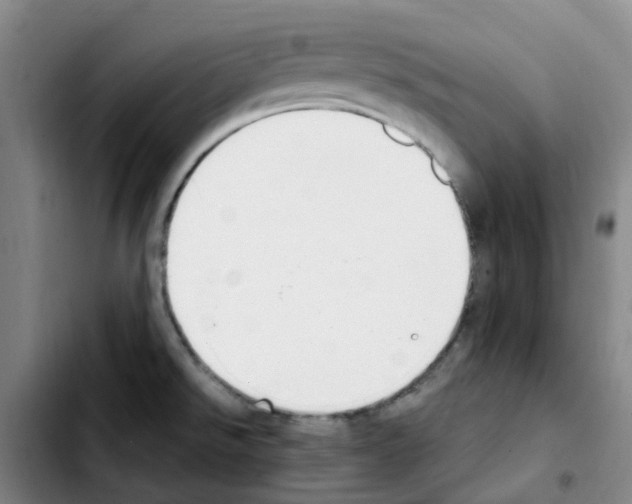 X0000103451526200810241133