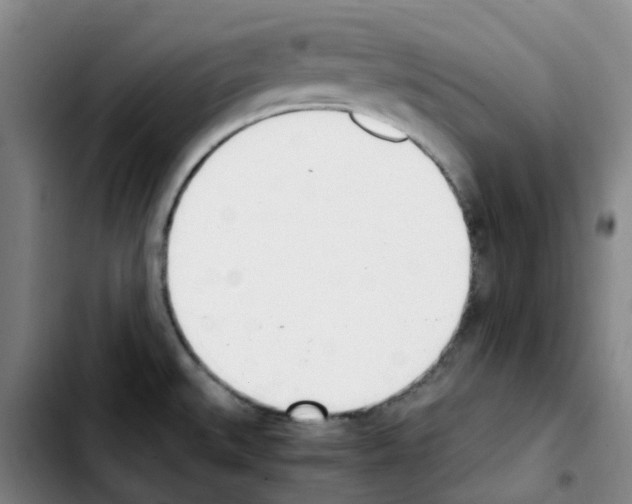 X0000103451527200810241133