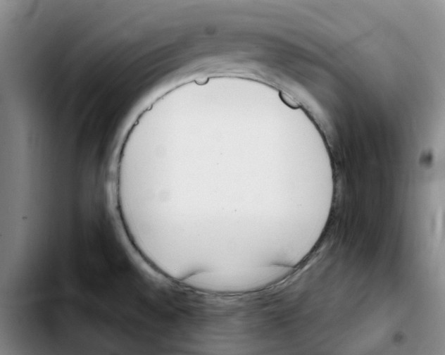 X0000103451528200810241133