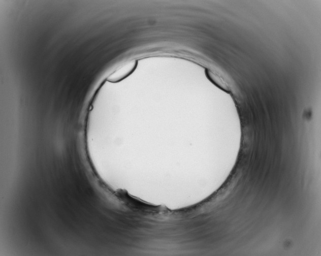 X0000103451530200810241133