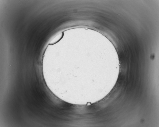 X0000103451532200810241133