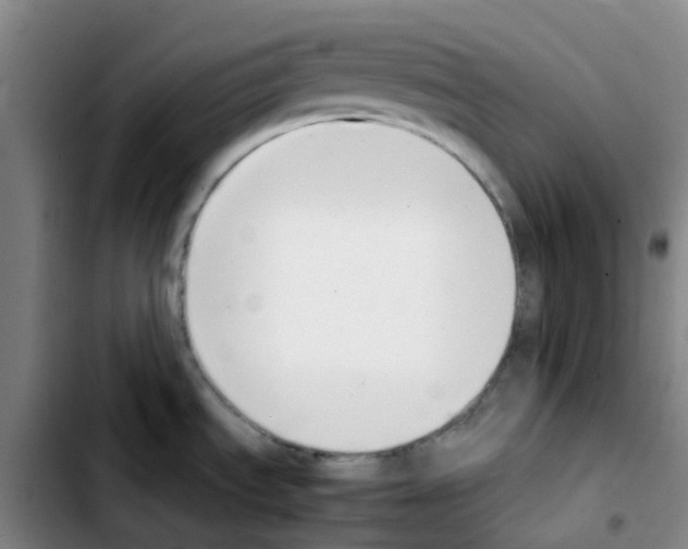 X0000103451535200810241133