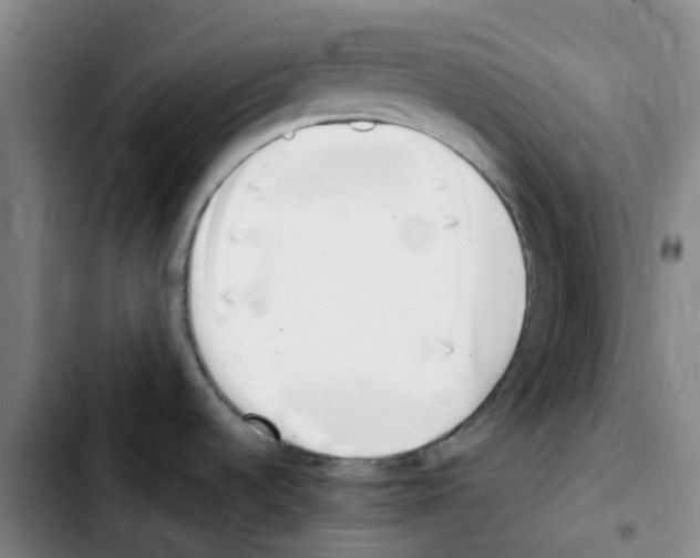 X0000103451536200810241133