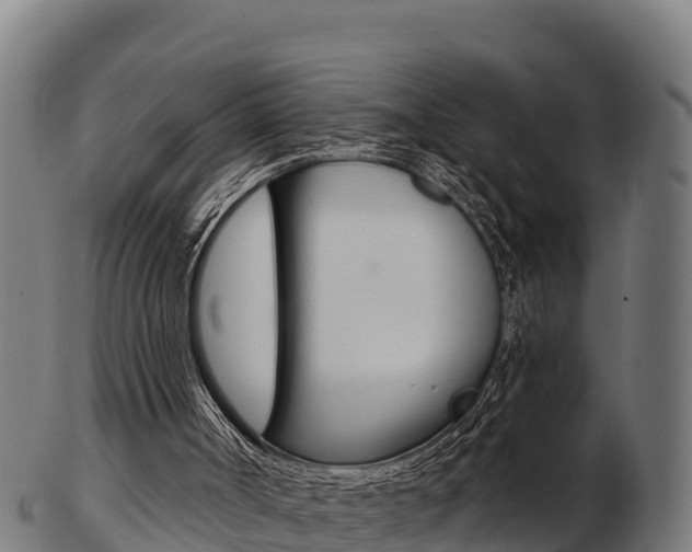 X0000103460002200809121108