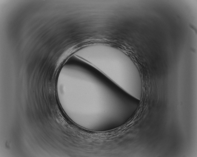 X0000103460004200809121108