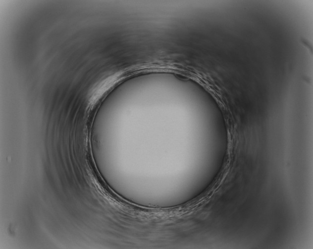 X0000103460005200809121108