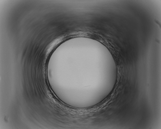 X0000103460006200809121108