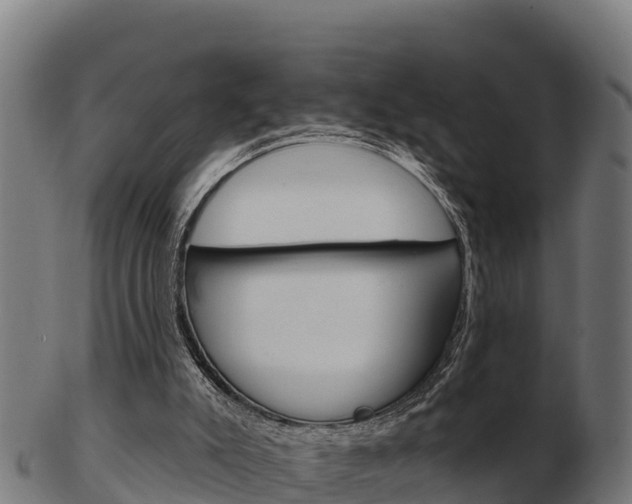 X0000103460007200809121108