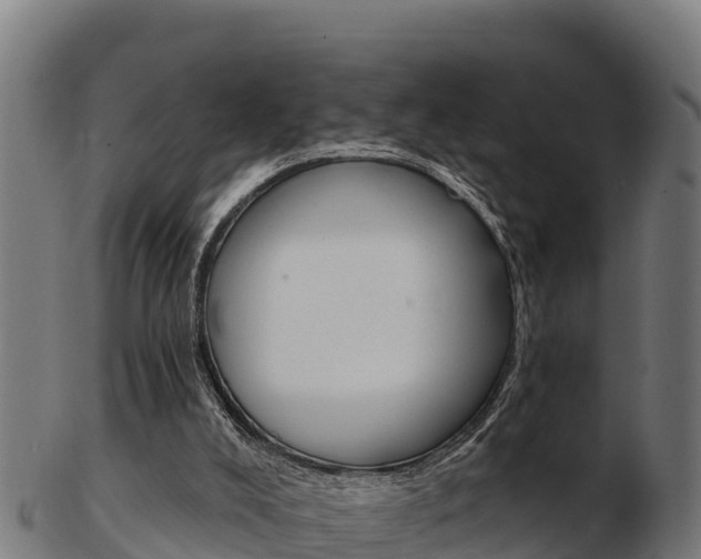 X0000103460008200809121108