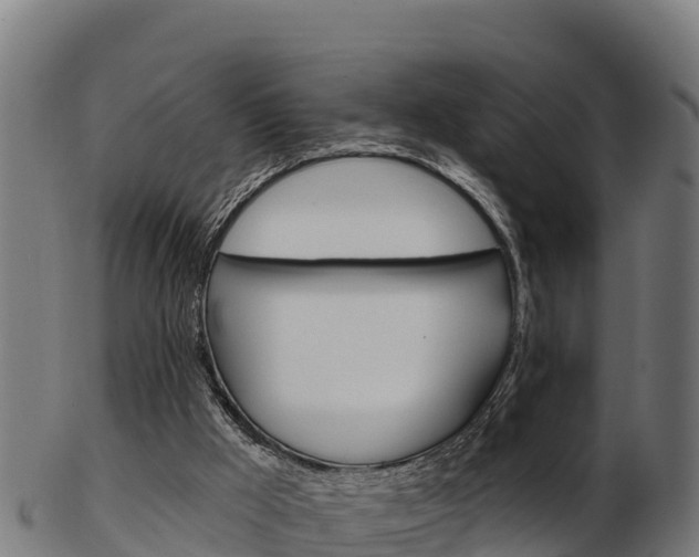 X0000103460009200809121108