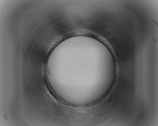 X0000103460010200809121108