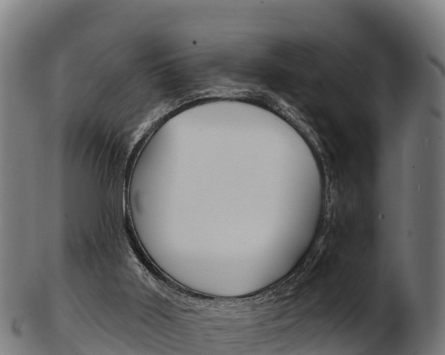X0000103460011200809121108