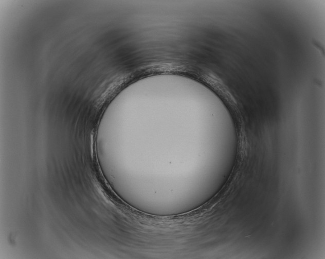 X0000103460014200809121108