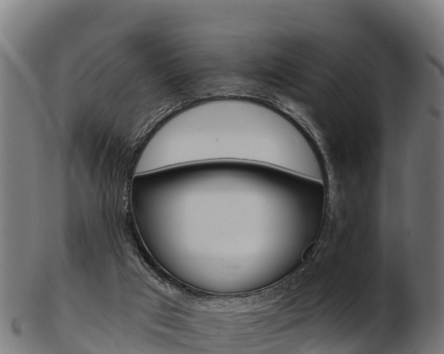 X0000103460017200809121108