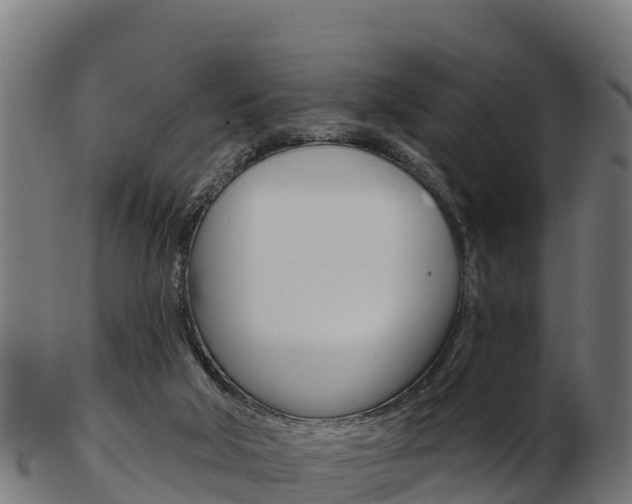 X0000103460018200809121108