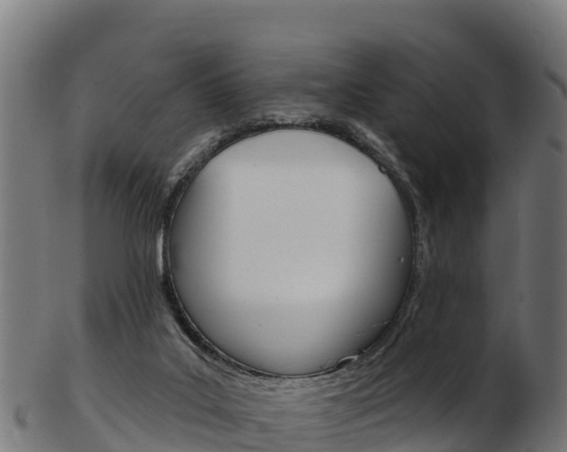 X0000103460019200809121108