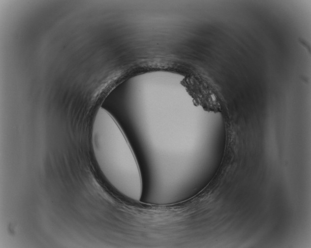 X0000103460020200809121108