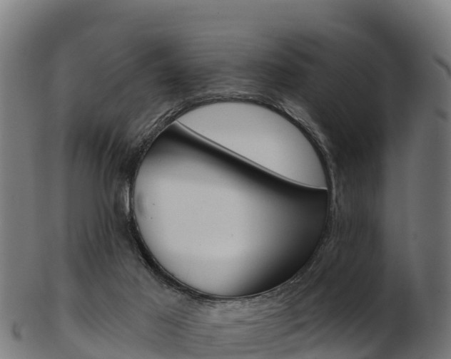 X0000103460021200809121108