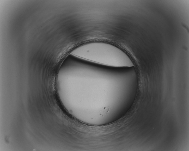 X0000103460023200809121107