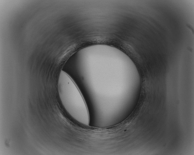 X0000103460024200809121107