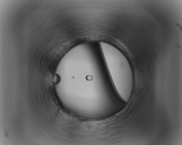X0000103460025200809121107