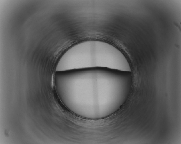 X0000103460027200809121107