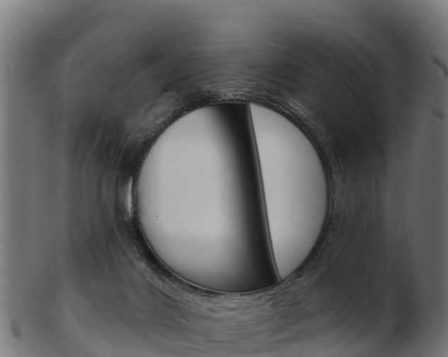 X0000103460028200809121107