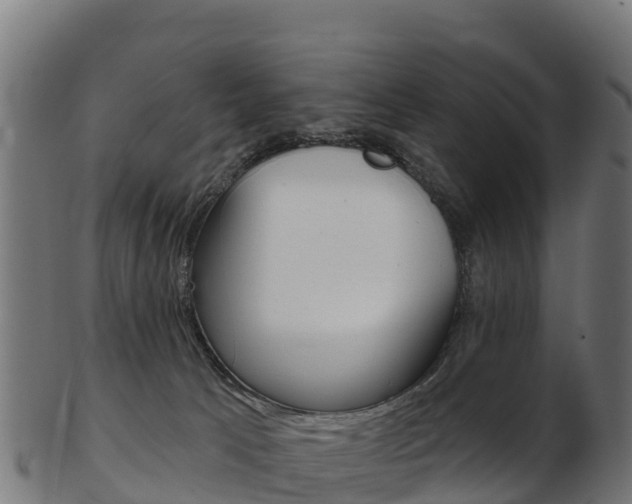 X0000103460033200809121107