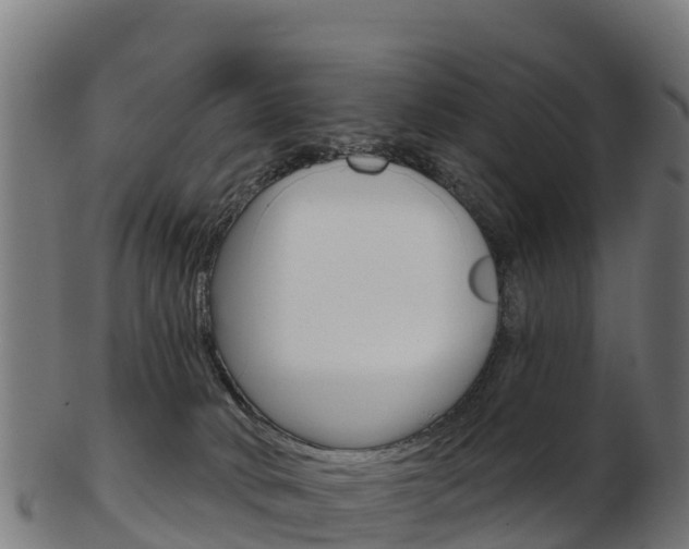 X0000103460034200809121107