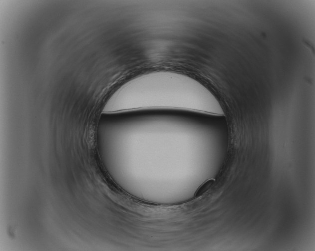 X0000103460036200809121107