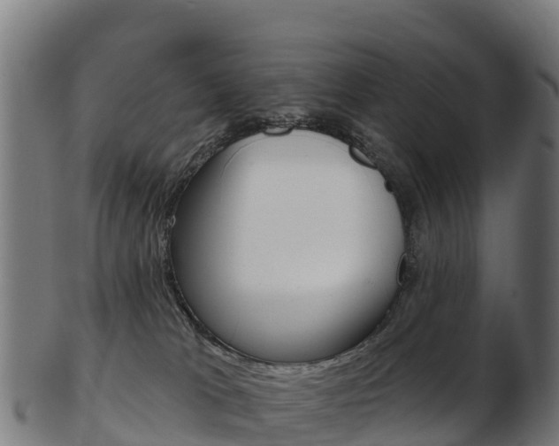 X0000103460037200809121107