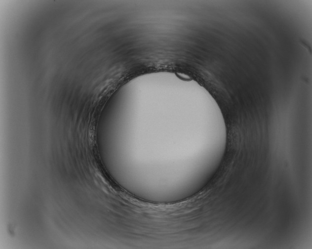X0000103460039200809121107