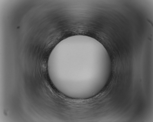 X0000103460040200809121107