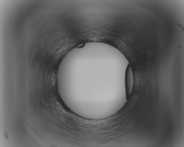 X0000103460043200809121107