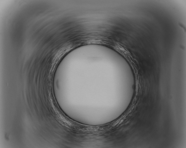 X0000103460049200809121106
