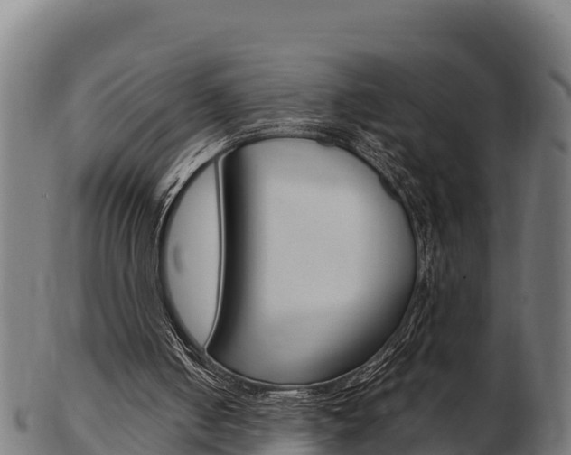 X0000103460050200809121106