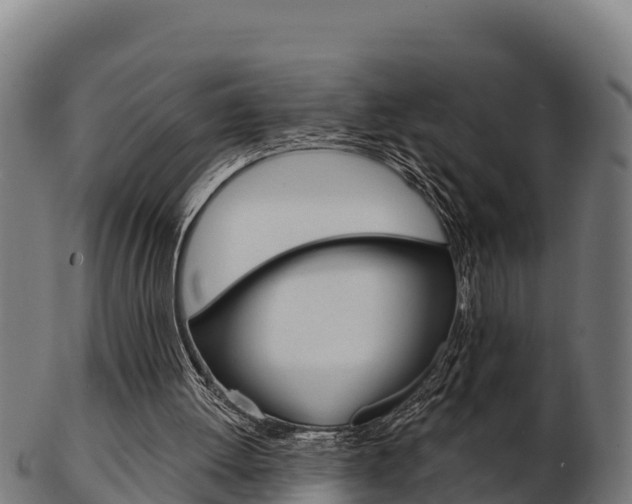 X0000103460052200809121107