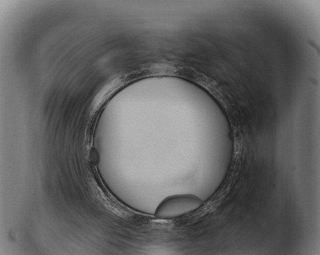X0000103460053200809121107