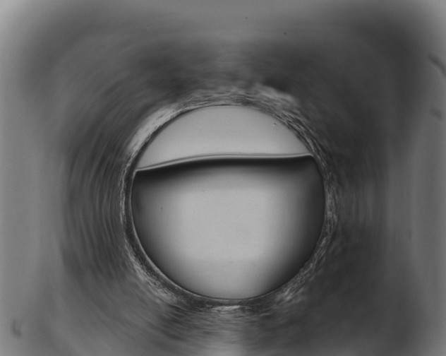 X0000103460054200809121107
