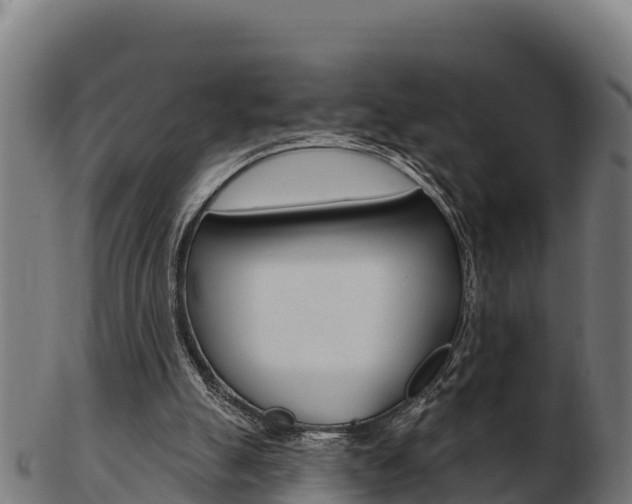 X0000103460055200809121107