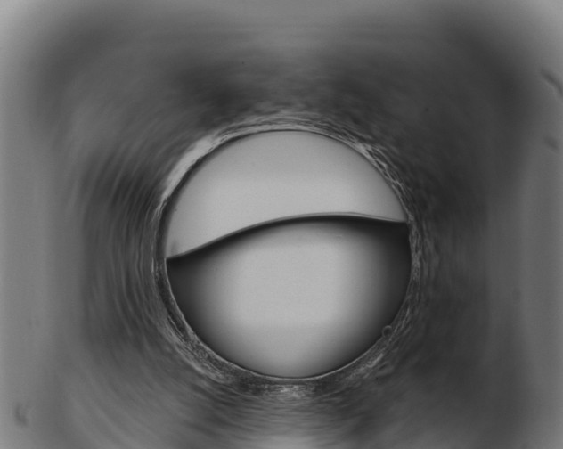X0000103460056200809121107