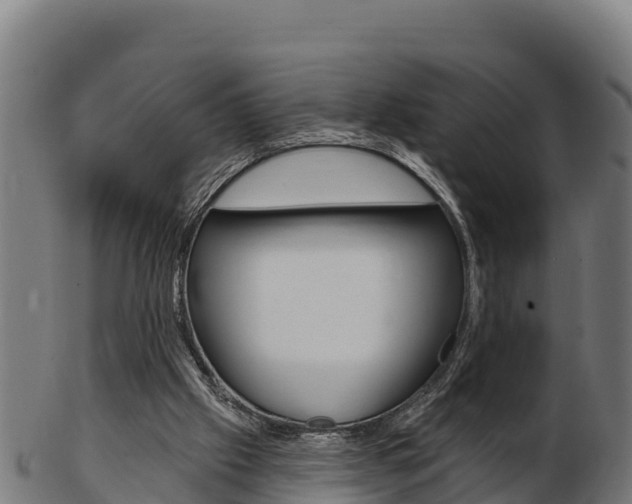 X0000103460057200809121107