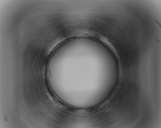 X0000103460058200809121107