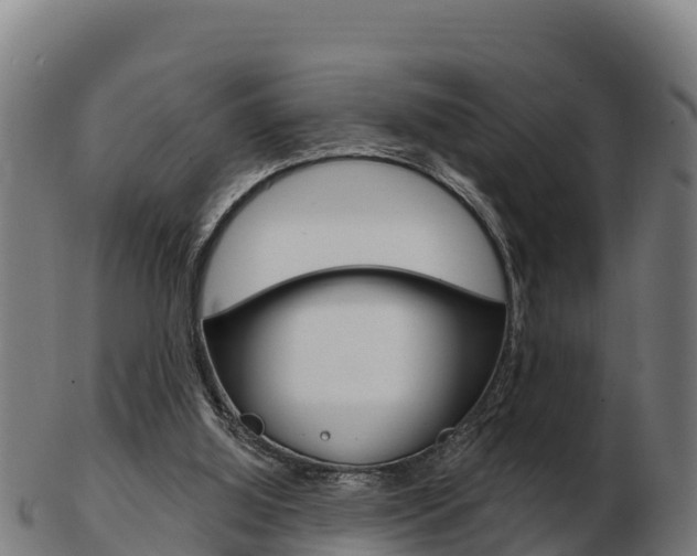 X0000103460060200809121107