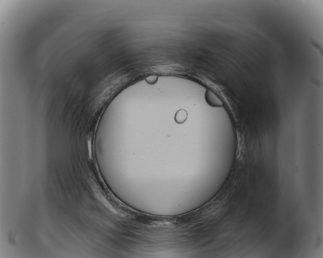 X0000103460061200809121107