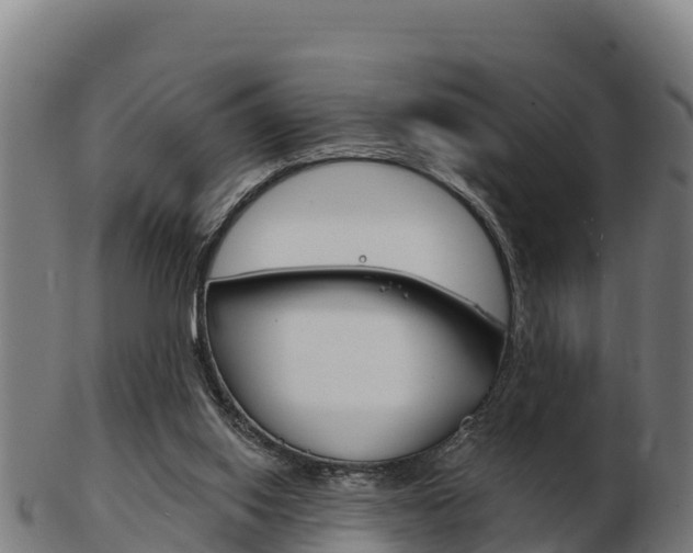 X0000103460062200809121107