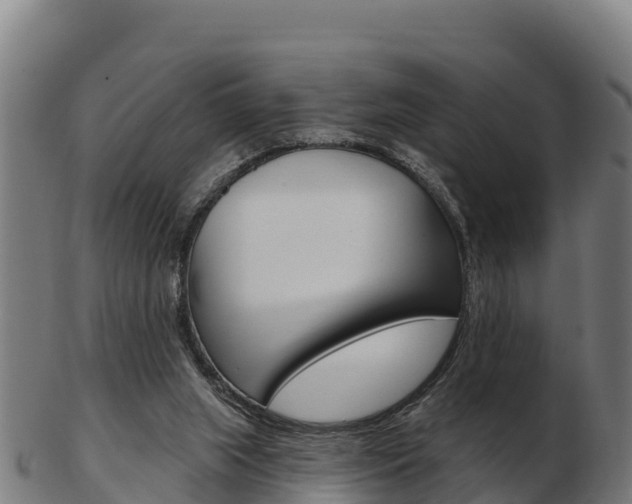 X0000103460063200809121107