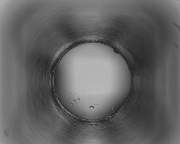 X0000103460064200809121107