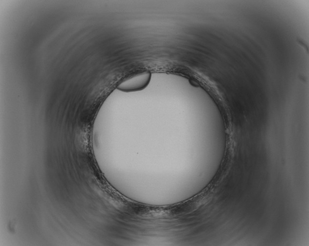 X0000103460065200809121107